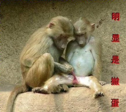 报告预计中国2017年成全球排名第2富有国家