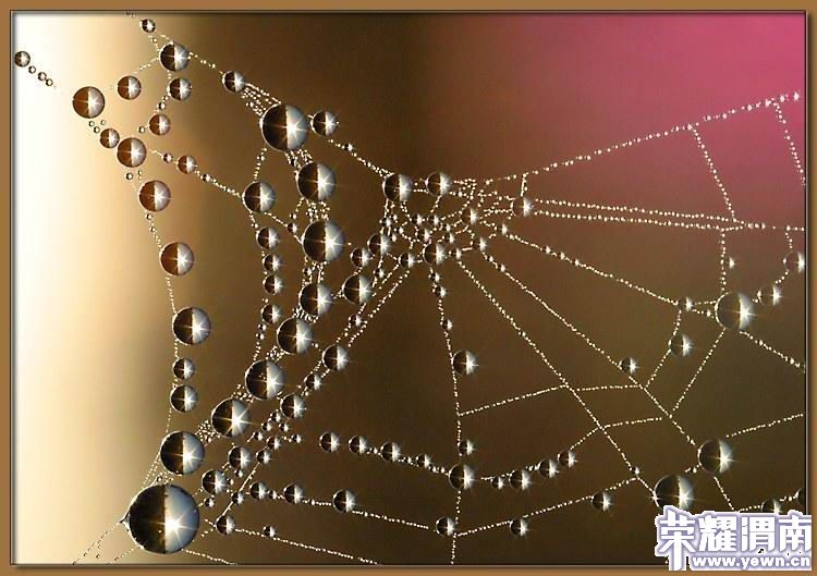 最好不相见--《非诚勿扰2》片尾曲