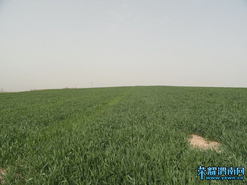 渭南后花园的早春 - 渭南新闻 - 荣耀渭南网 - W