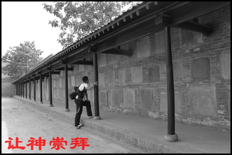 蒲城县人口有多少_渭南各县市区人口面积,快看看你家乡排第几