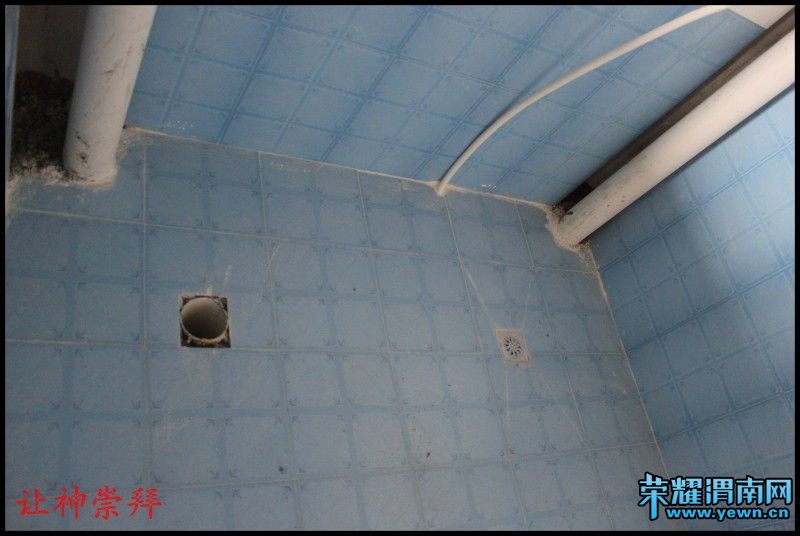 conew_��Ƭ 896.jpg