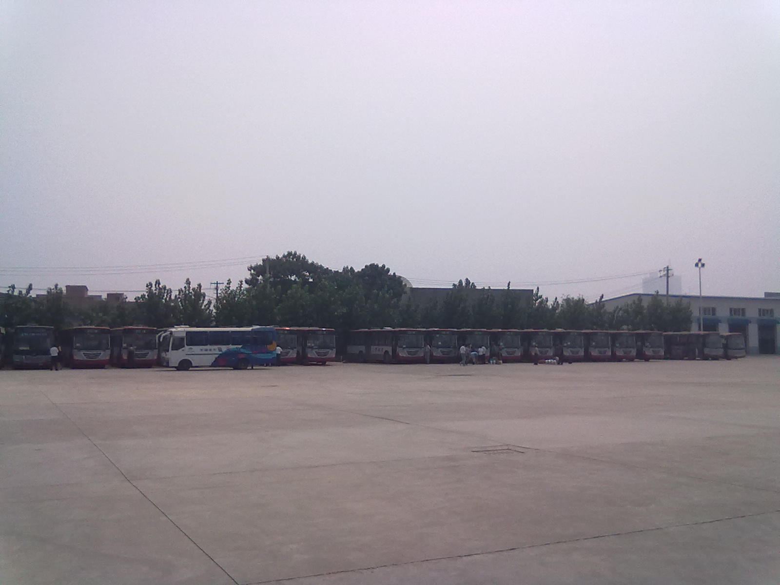20110829316.jpg