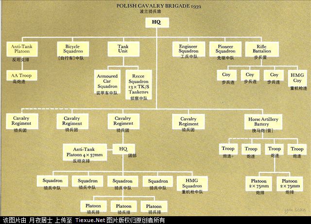 二战部分国家军队编制