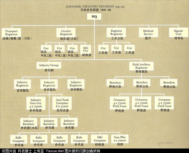 二战部分国家军队编制