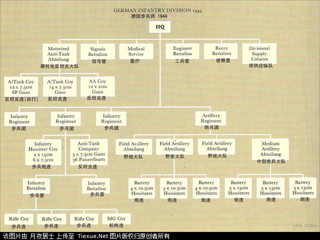 二战部分国家军队编制