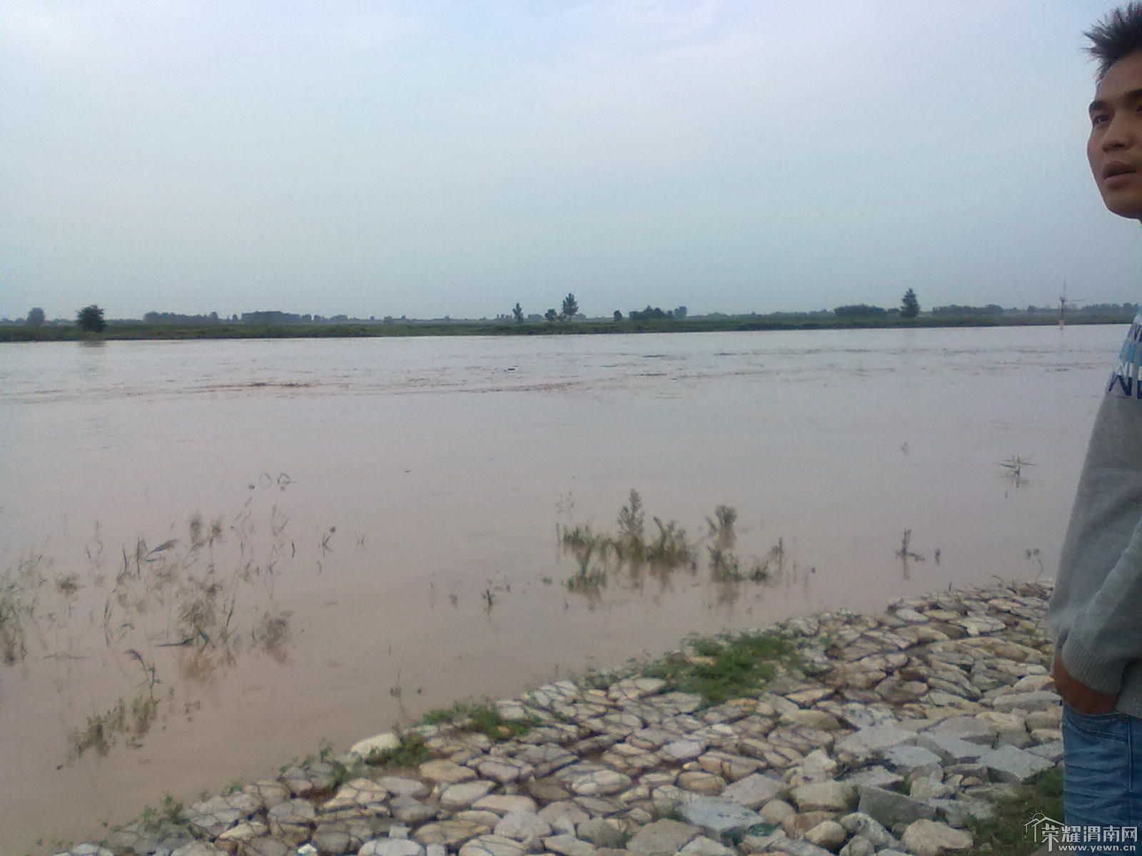 渭河涨水幅度极大,受灾肯定,粮食大幅涨价也必