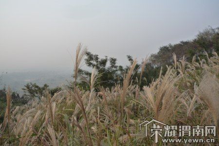 P1050487 [800x600].jpg