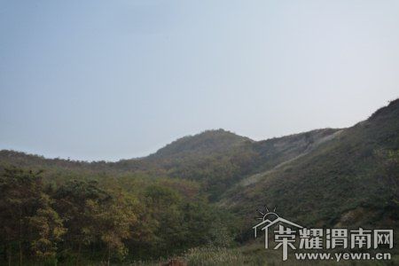 P1050490 [800x600].jpg