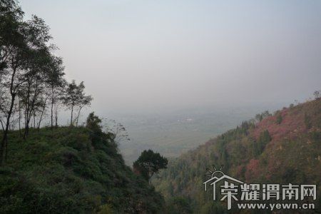 P1050510 [800x600].jpg