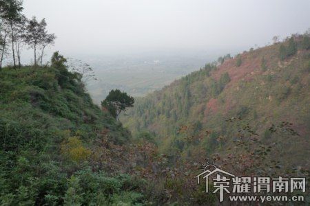 P1050511 [800x600].jpg