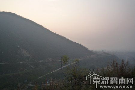 P1050527 [800x600].jpg