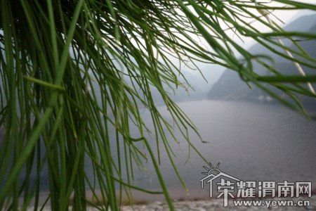 P1050533 [800x600].jpg