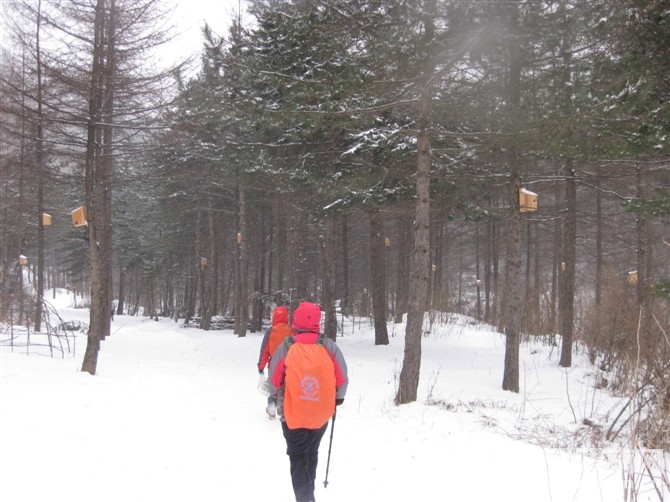 ���ϵ��˹�����