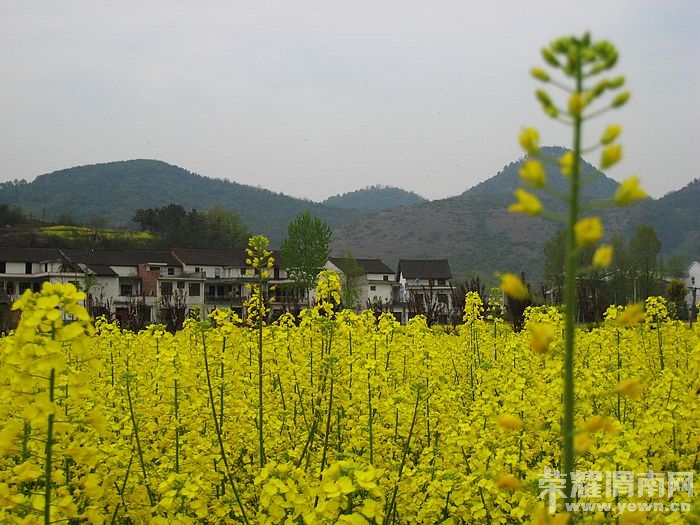 nEO_IMG_��Ƭ 039.jpg