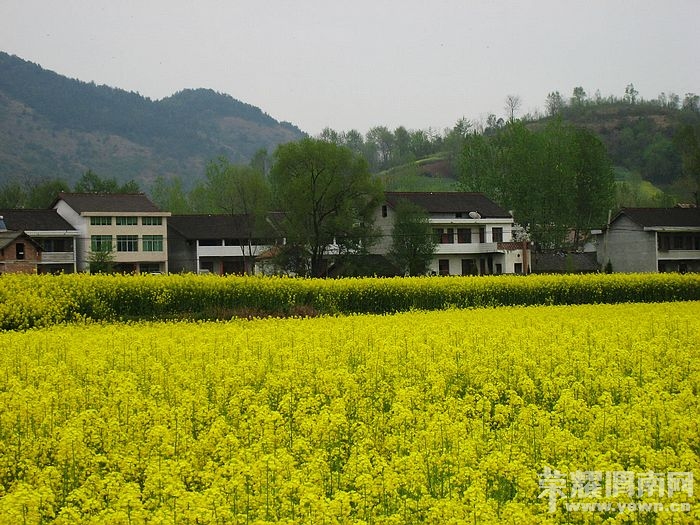 nEO_IMG_��Ƭ 028.jpg