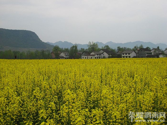 nEO_IMG_��Ƭ 038.jpg