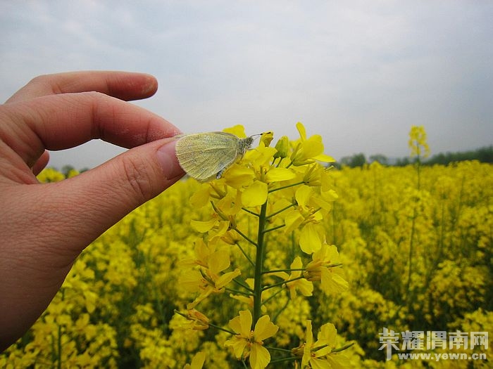 nEO_IMG_��Ƭ 051.jpg