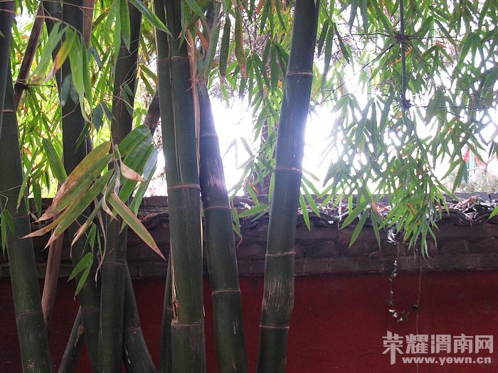 nEO_IMG_��Ƭ 098.jpg