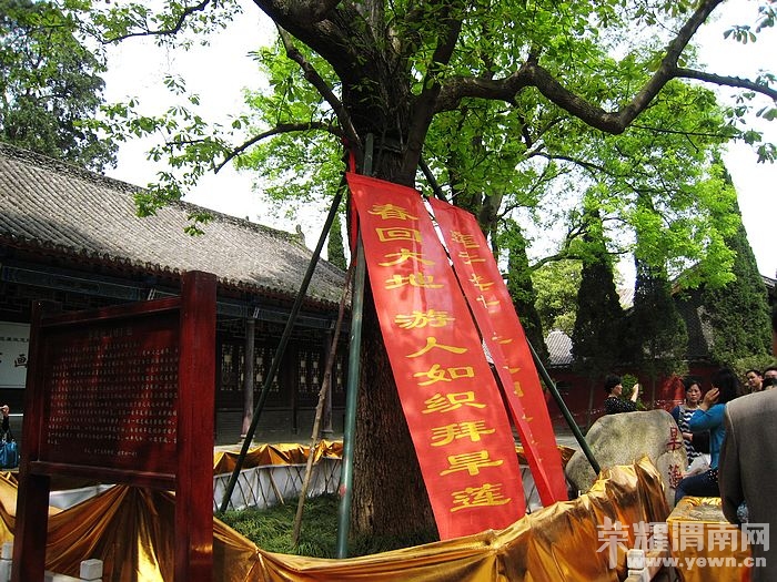 nEO_IMG_��Ƭ 090.jpg