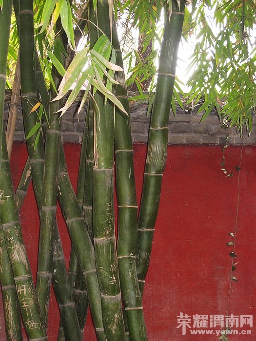 nEO_IMG_��Ƭ 096.jpg