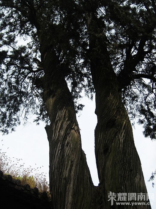 nEO_IMG_��Ƭ 102.jpg