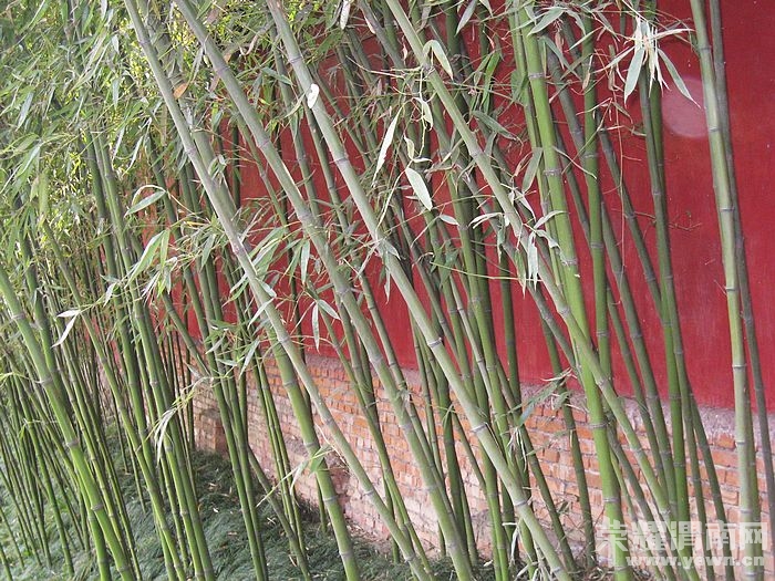 nEO_IMG_��Ƭ 105.jpg