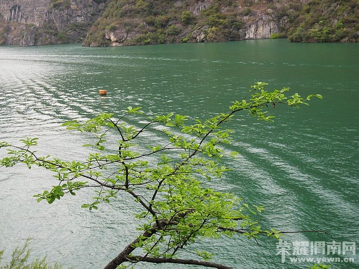 nEO_IMG_��Ƭ 219.jpg