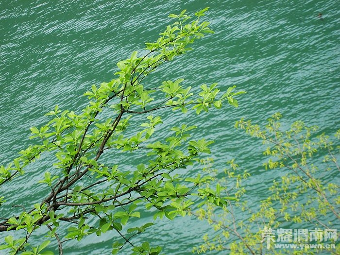 nEO_IMG_��Ƭ 220.jpg