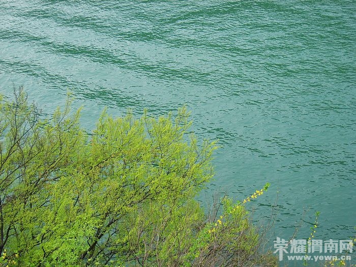 nEO_IMG_��Ƭ 224.jpg