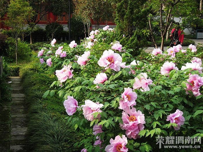 nEO_IMG_��Ƭ 280.jpg