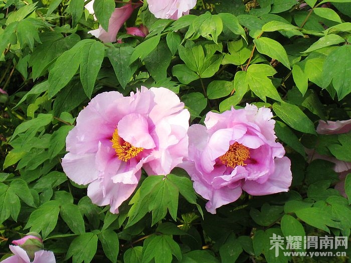 nEO_IMG_��Ƭ 282.jpg