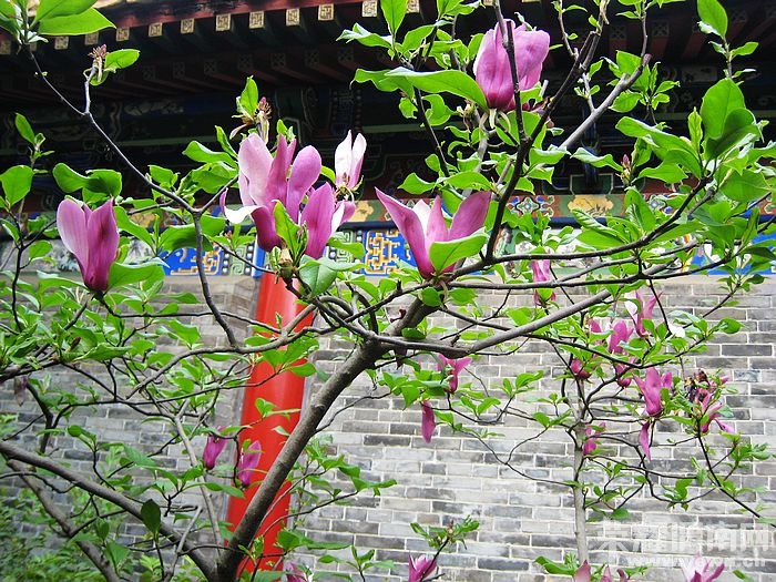 nEO_IMG_��Ƭ 300.jpg