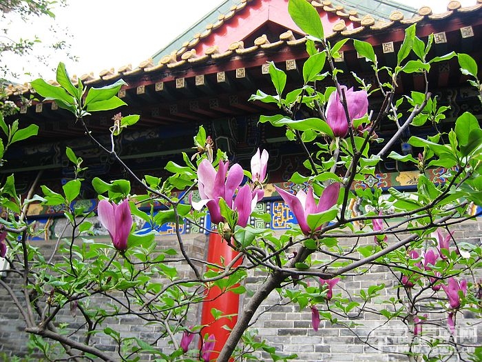 nEO_IMG_��Ƭ 301.jpg