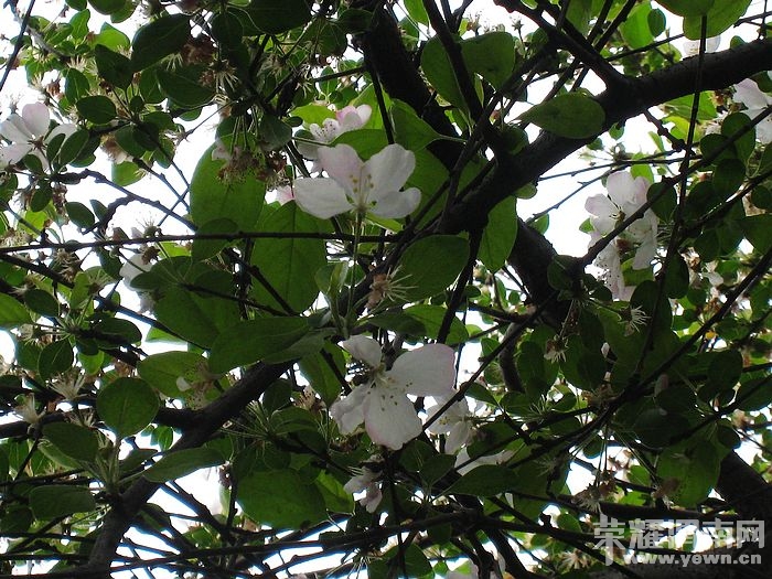 nEO_IMG_��Ƭ 302.jpg