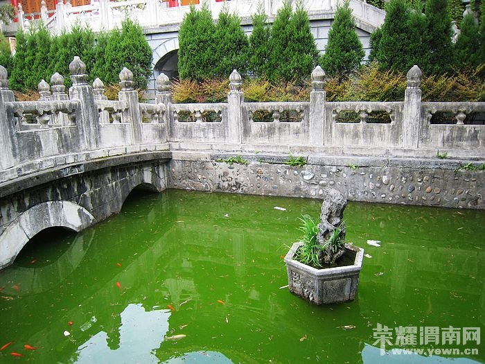 nEO_IMG_��Ƭ 317.jpg