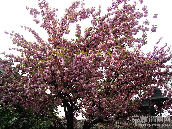 nEO_IMG_��Ƭ 350.jpg