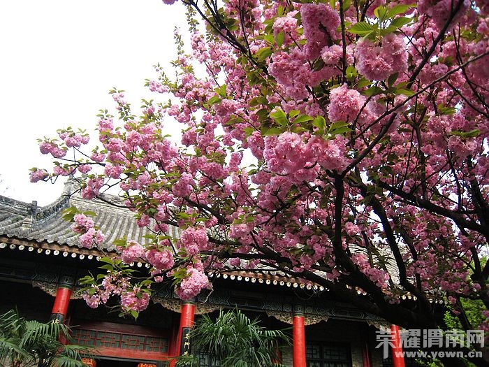 nEO_IMG_��Ƭ 328.jpg