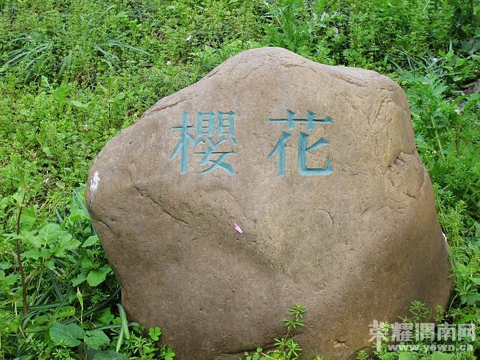 nEO_IMG_��Ƭ 329.jpg