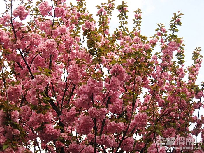 nEO_IMG_��Ƭ 330.jpg