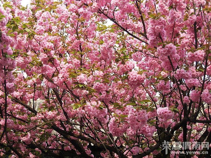 nEO_IMG_��Ƭ 333.jpg