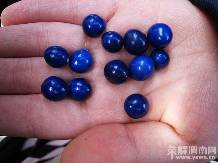 nEO_IMG_��Ƭ 358.jpg