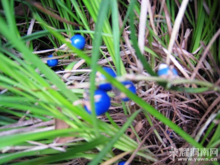 nEO_IMG_��Ƭ 355.jpg