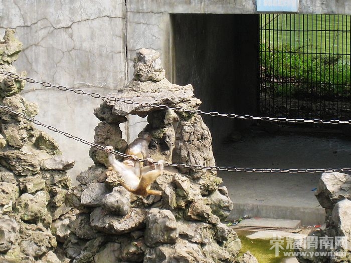 nEO_IMG_��Ƭ 407.jpg