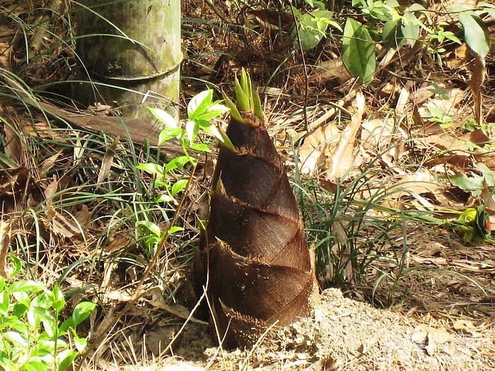 nEO_IMG_��Ƭ 398.jpg