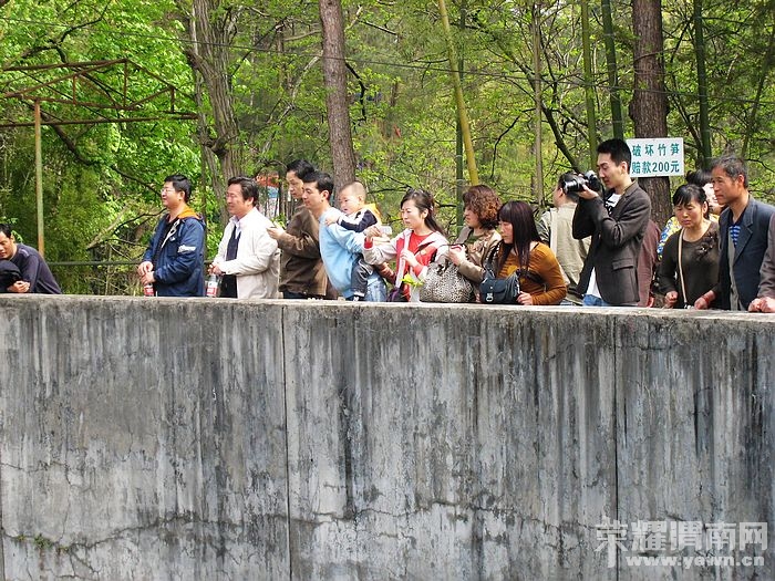 nEO_IMG_��Ƭ 405.jpg