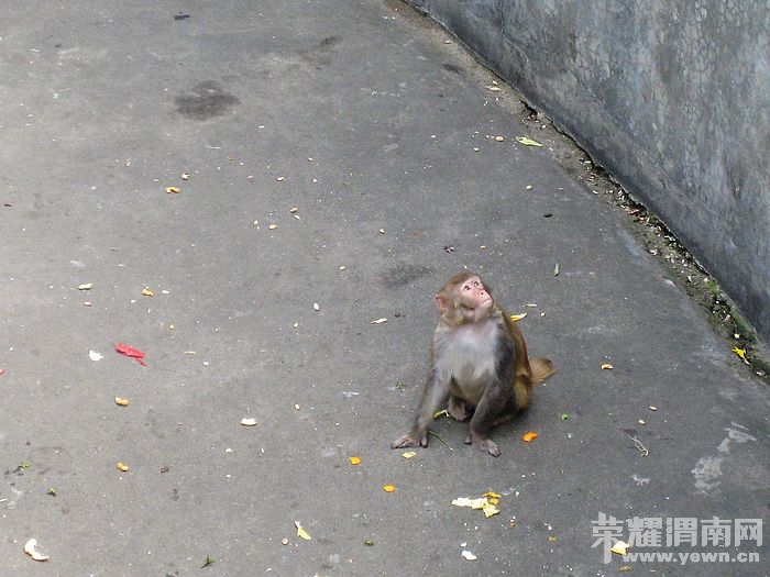 nEO_IMG_��Ƭ 406.jpg