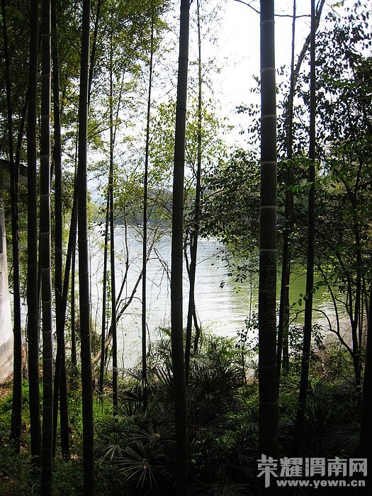 nEO_IMG_��Ƭ 409.jpg