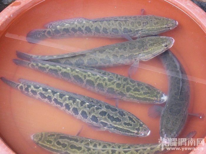 nEO_IMG_��Ƭ 453.jpg