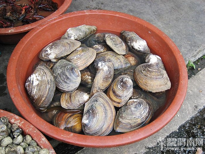 nEO_IMG_��Ƭ 451.jpg