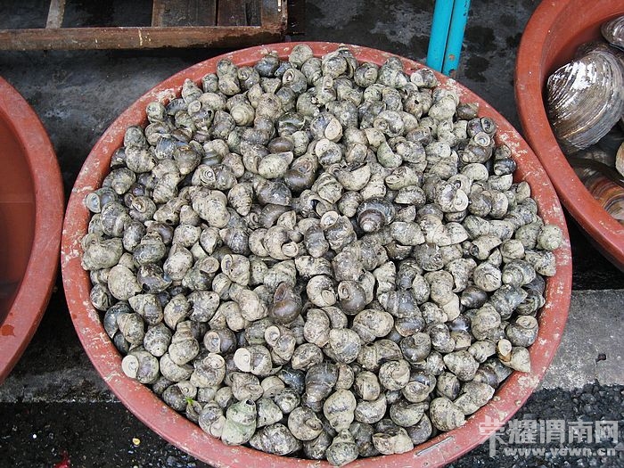 nEO_IMG_��Ƭ 452.jpg